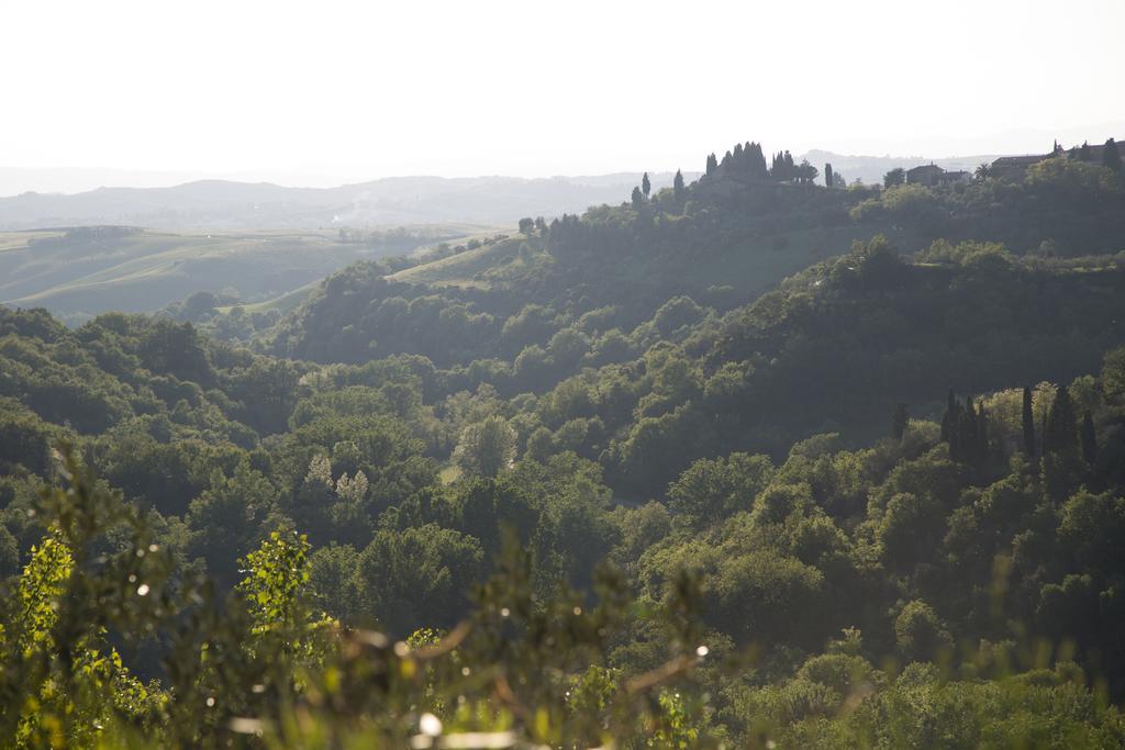 Casa Sandro A Podere Pascianella Villa Castelmuzio Eksteriør bilde